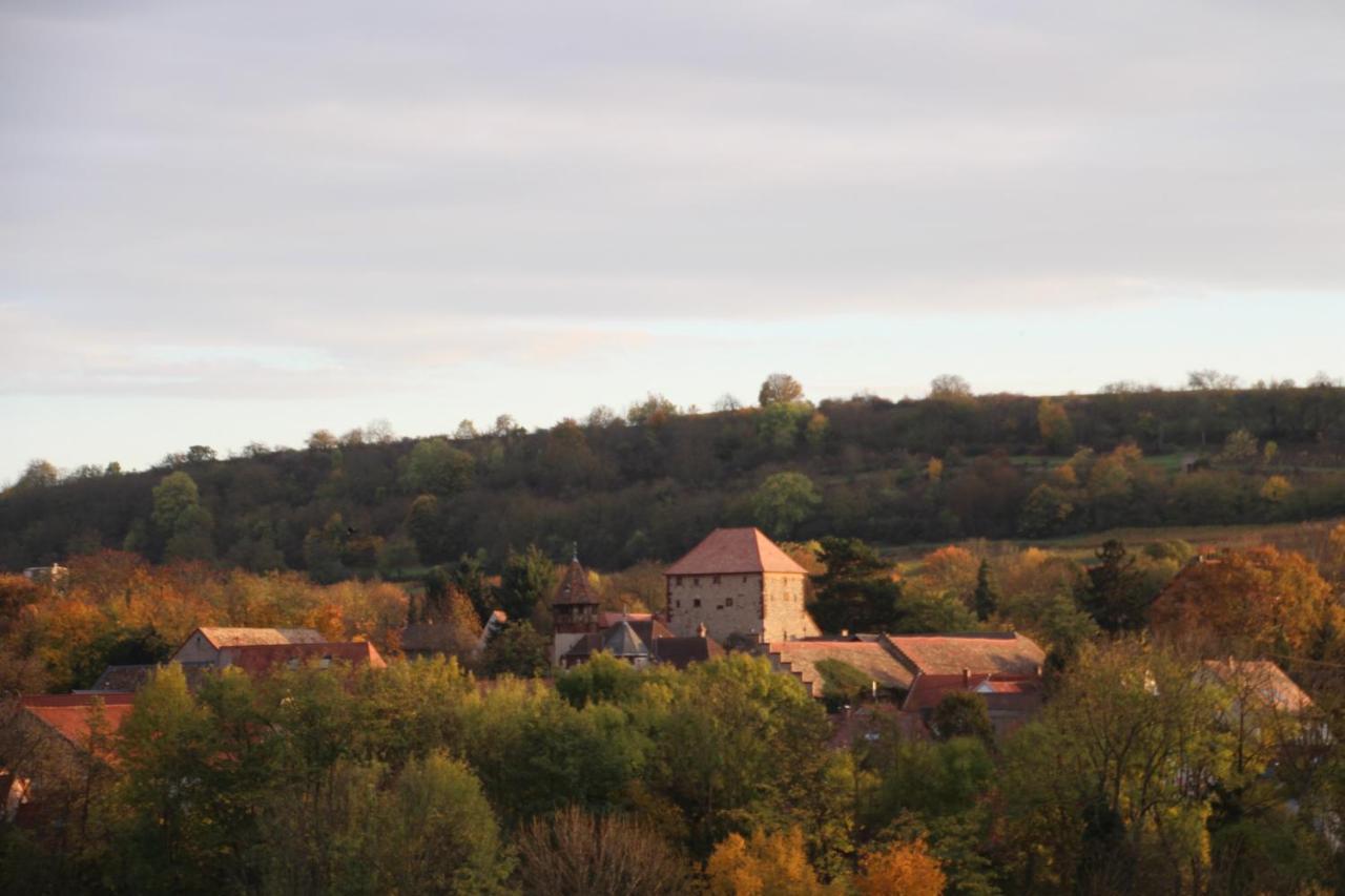 Ferienwohnung Im Schoenen Zellertal Wachenheim an der Weinstraße 外观 照片